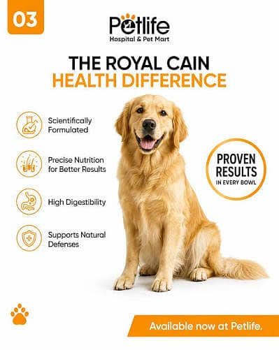  Rider Required – Petlife Hospital and Mart, Lahore