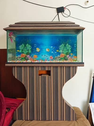 Aquarium