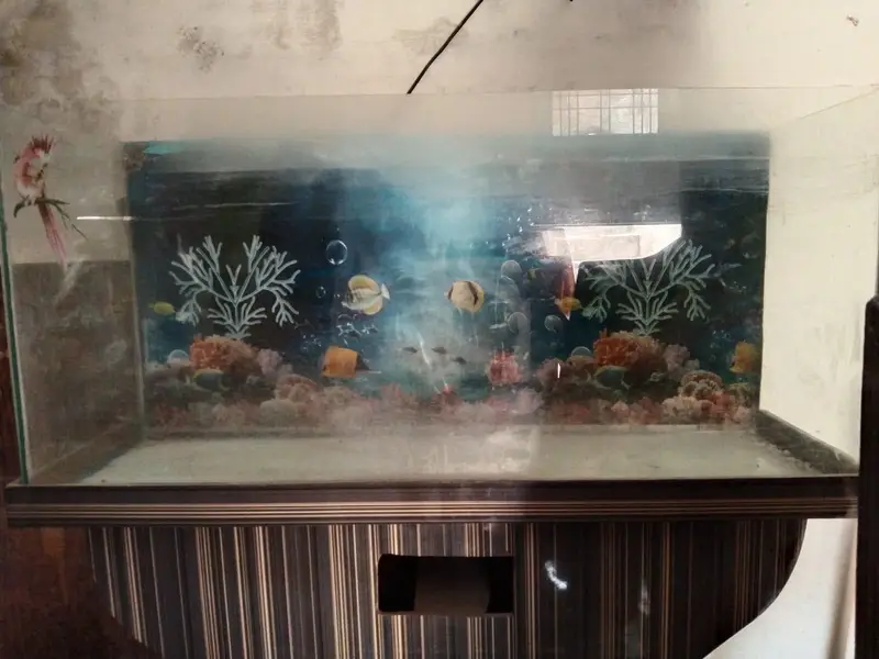 Aquarium — photo 9