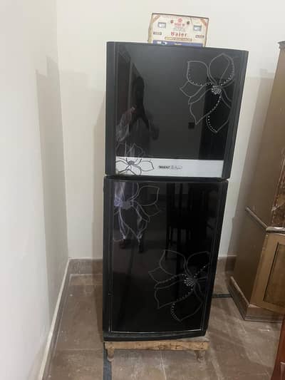 Orient Deluxe top-freezer refrigerator with a black floral glass door