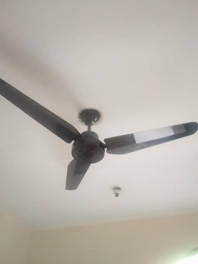 ceiling fan with remote