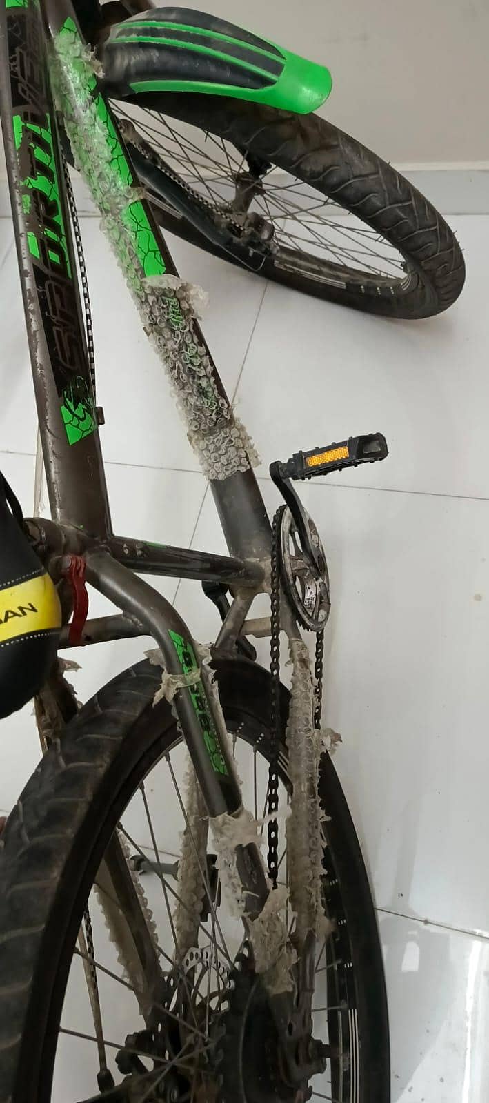 Cycle 2