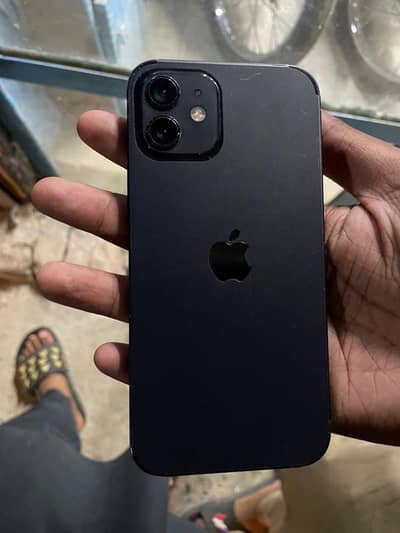 Apple iPhone 12