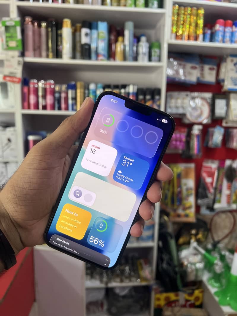 Apple iPhone 13 Pro Max 1