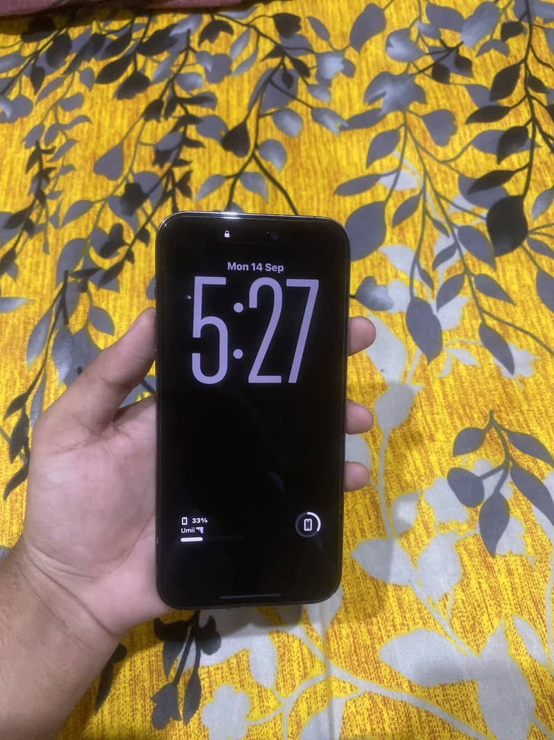 Apple iPhone 14 Pro Max 1
