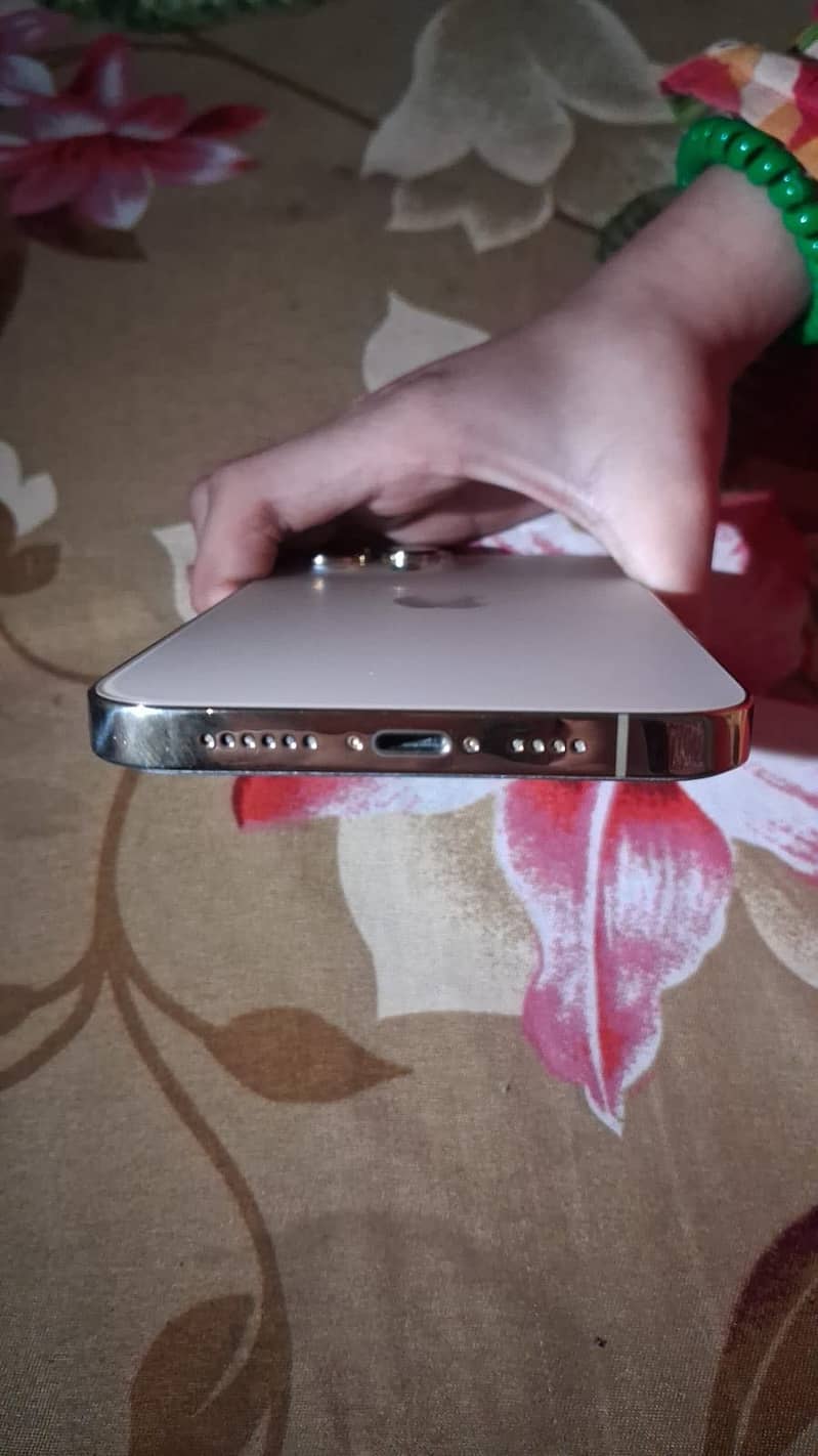 Apple iPhone 13 Pro Max 1