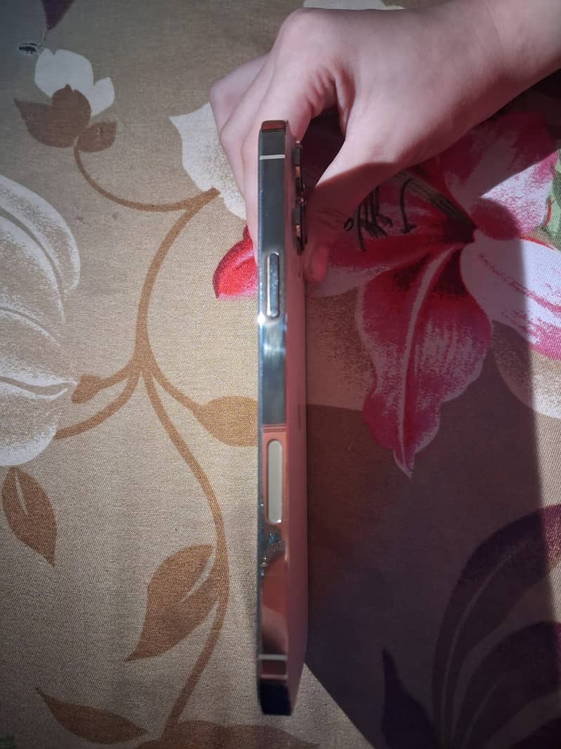 Apple iPhone 13 Pro Max 2