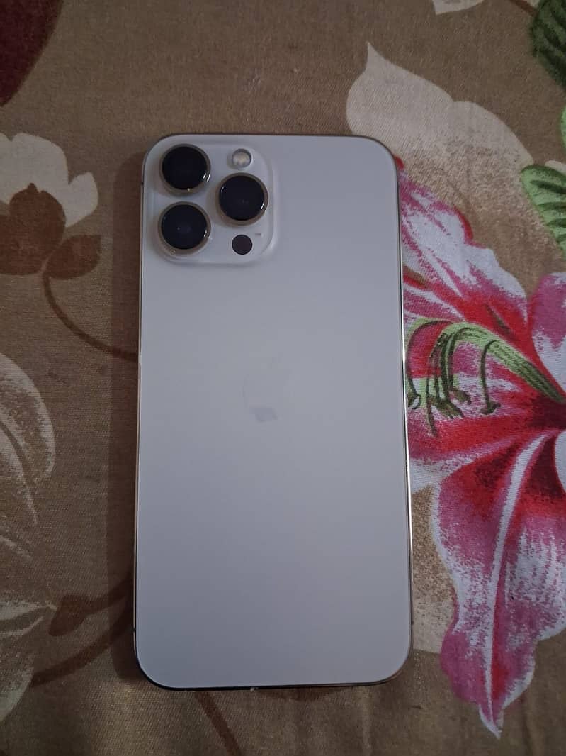 Apple iPhone 13 Pro Max 4