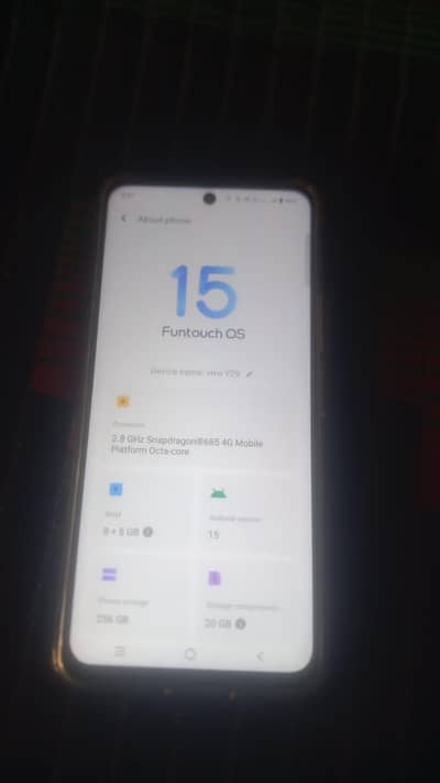 Vivo Y29