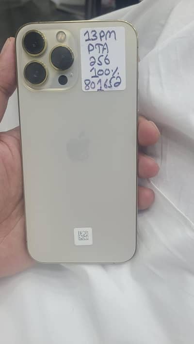 Apple iPhone 13 Pro Max
