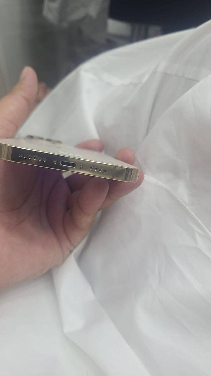 Apple iPhone 13 Pro Max 2