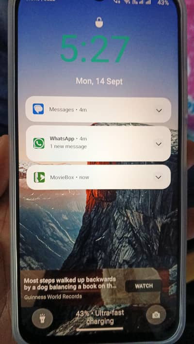realme c100x