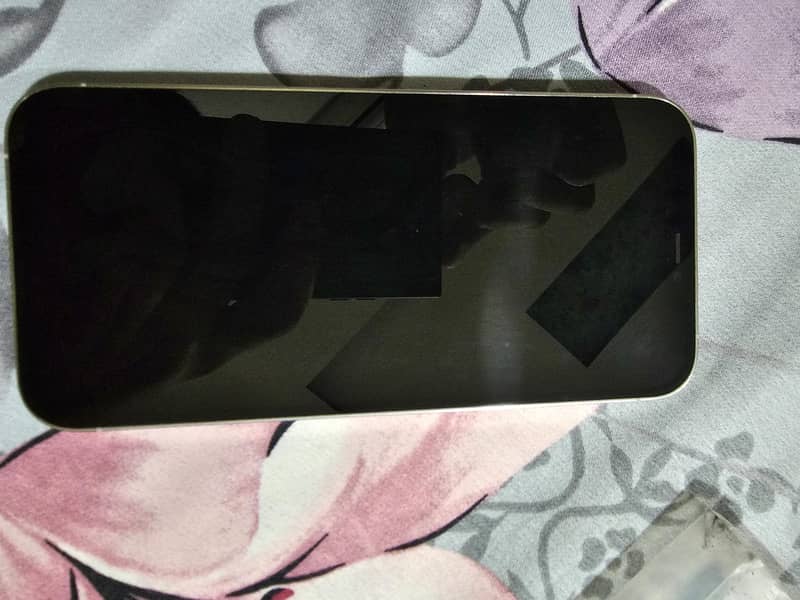 Apple iPhone 12 Pro Max 1