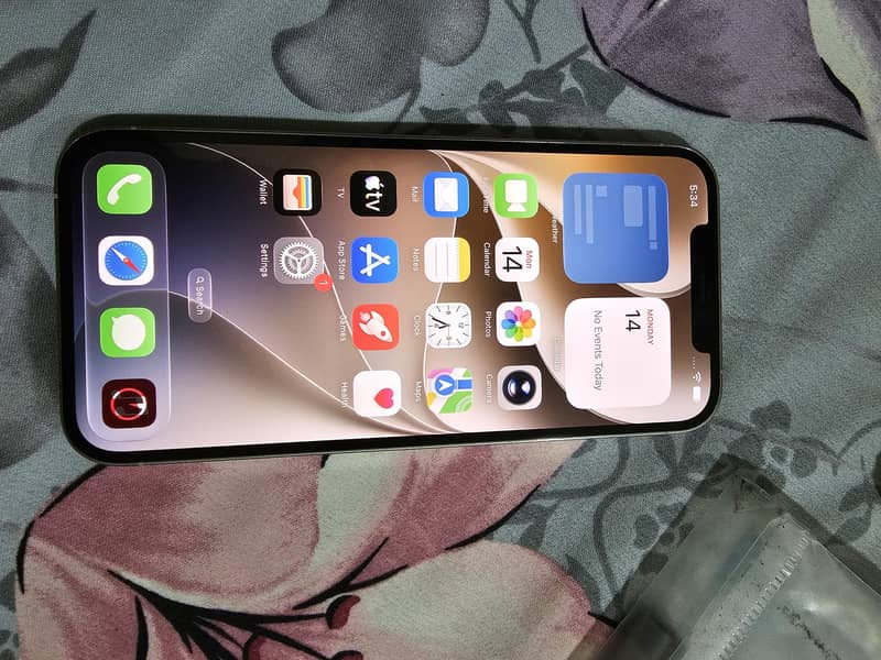 Apple iPhone 12 Pro Max 2