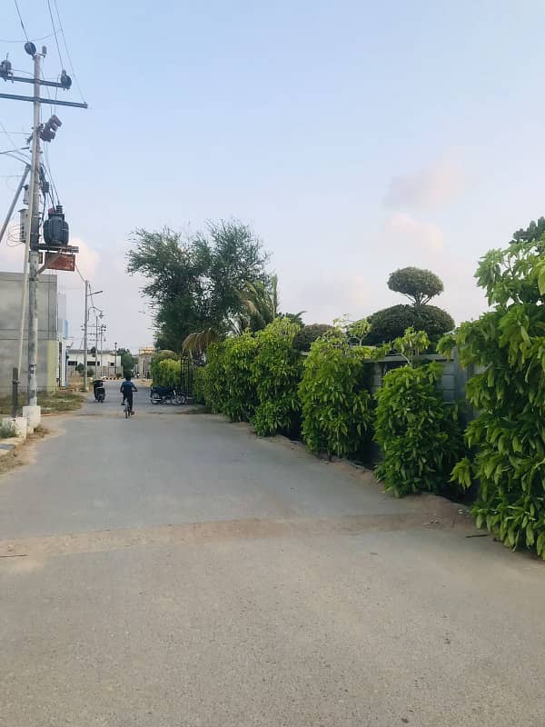 ALIZEY GARDEN 2