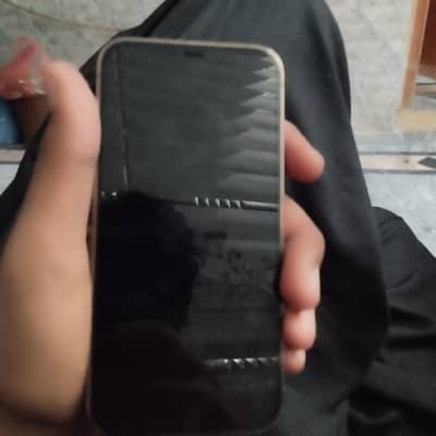 Apple iPhone 12 Pro