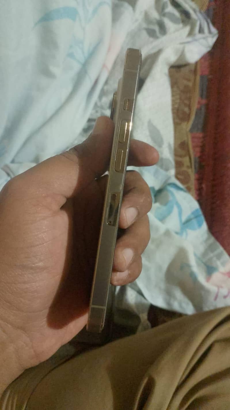 Apple iPhone 13 Pro 3