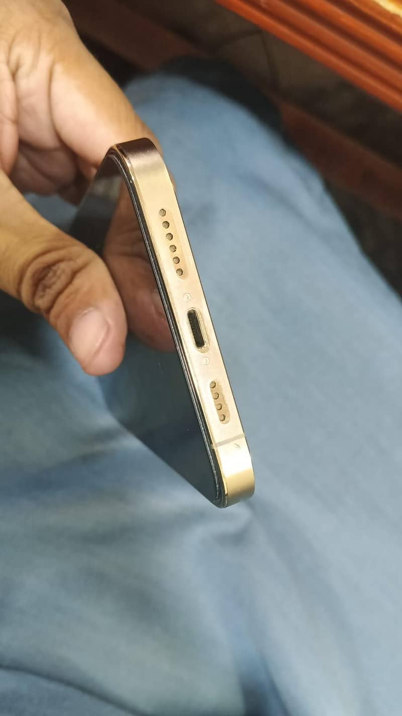 Apple iPhone 12 Pro Max 1