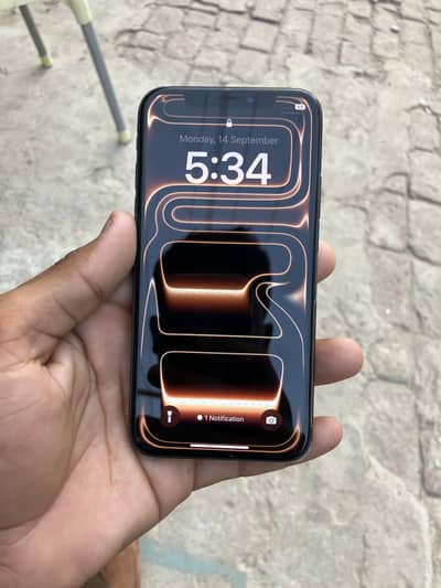 Apple iPhone X