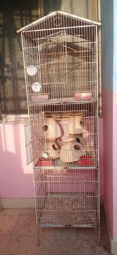 birds cage with