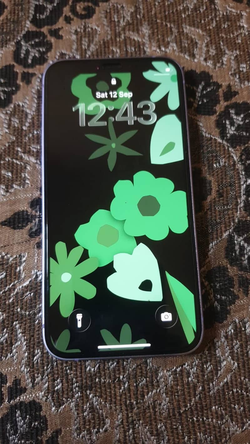 Apple iPhone 12 mini 1