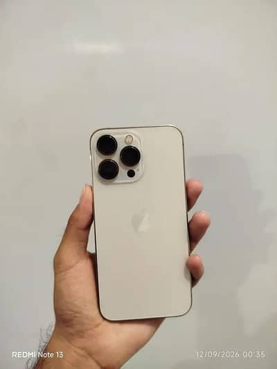 Apple iPhone 13 Pro  health