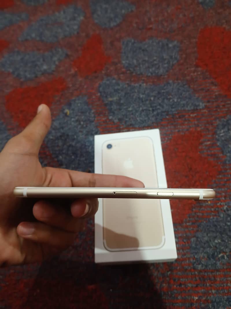 Apple iPhone 7 1