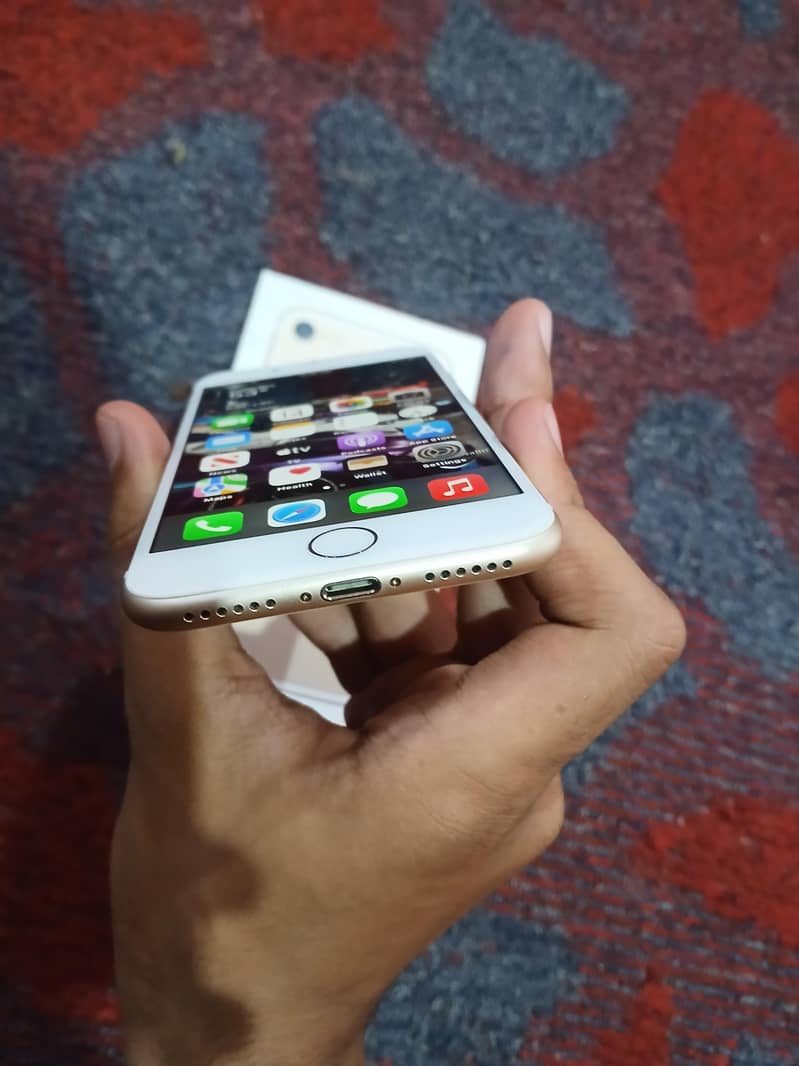 Apple iPhone 7 4