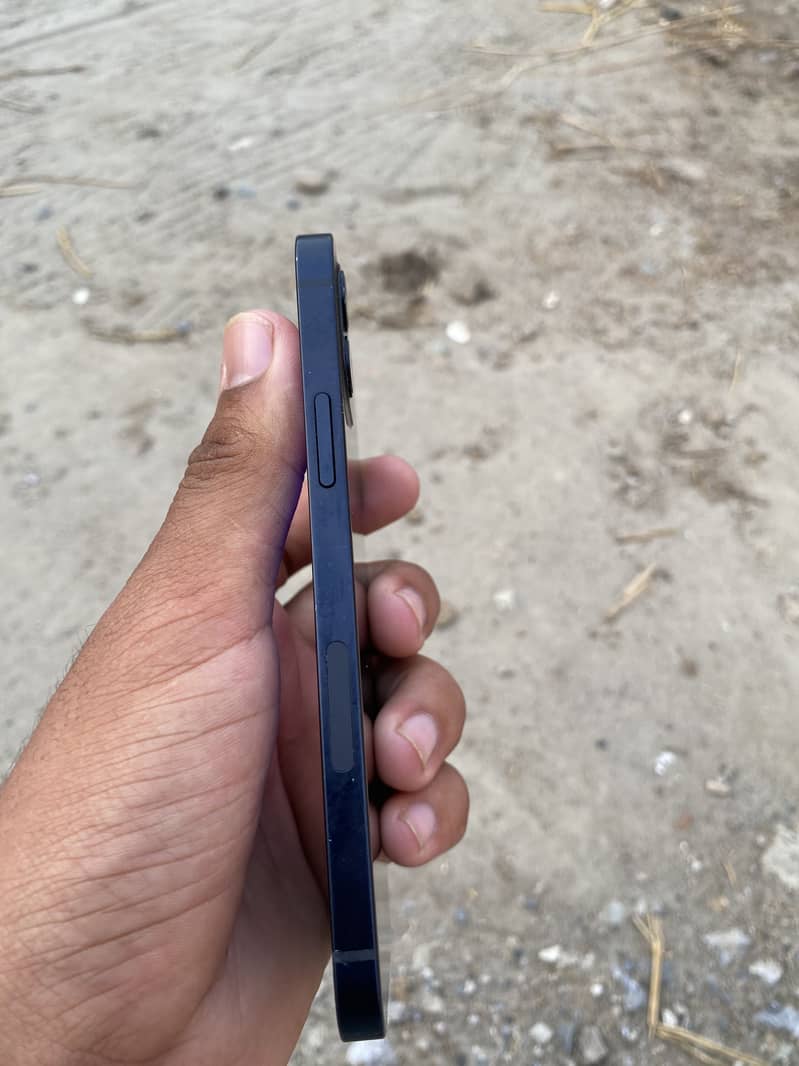 Apple iPhone 12 1