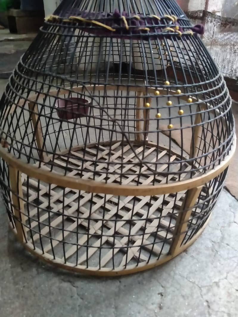 bird cage 0