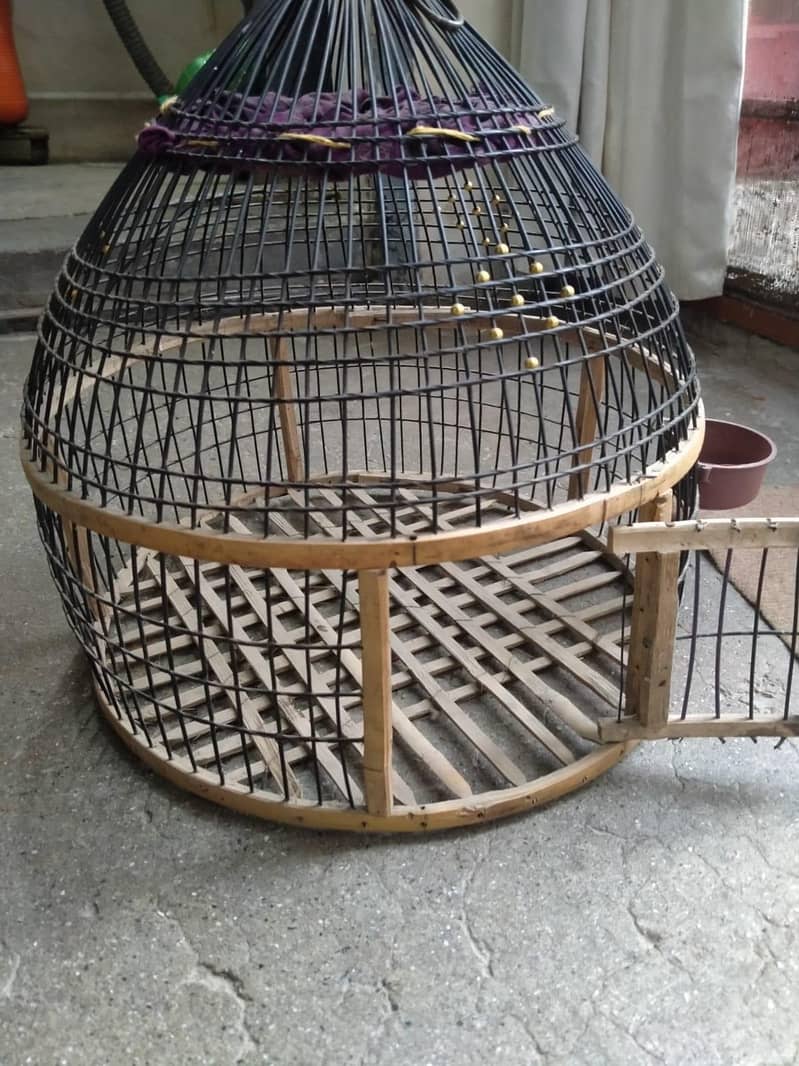 bird cage 1