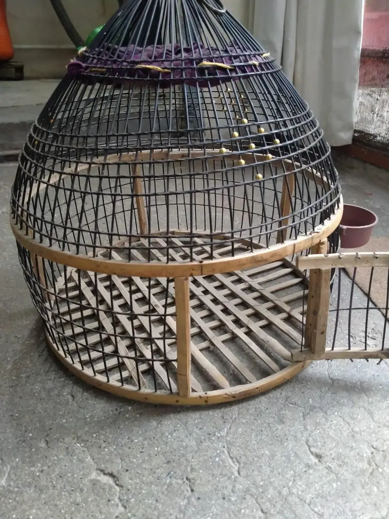 bird cage — photo 2