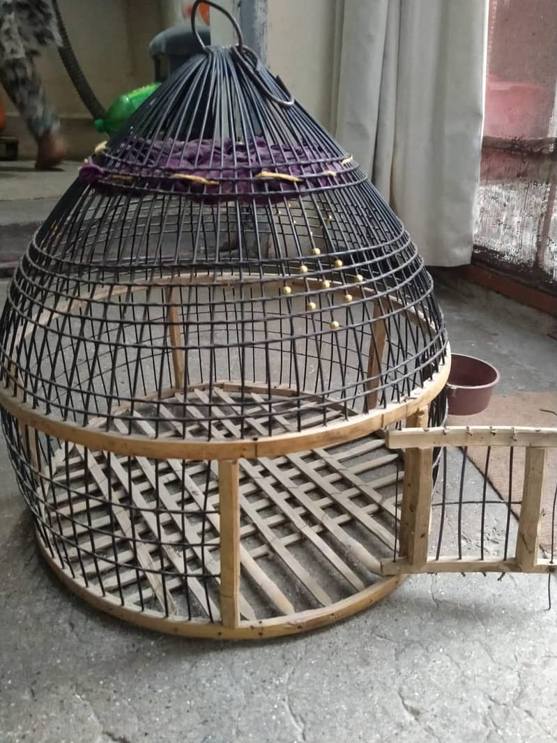 bird cage 2