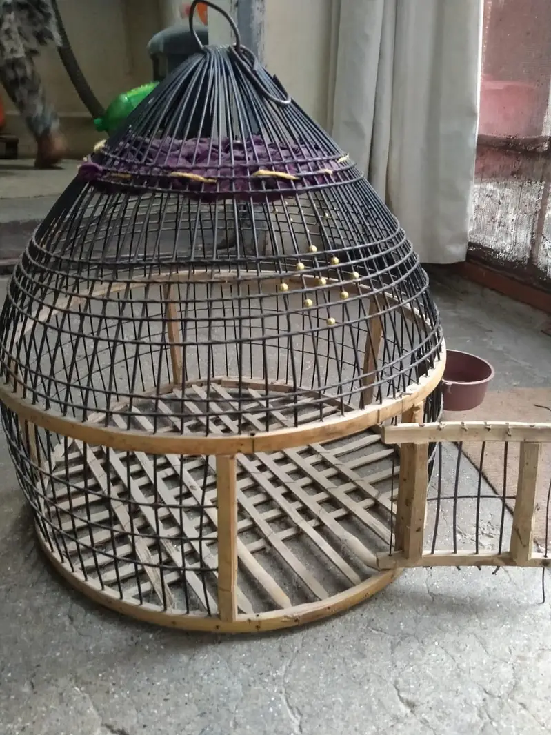 bird cage — photo 3