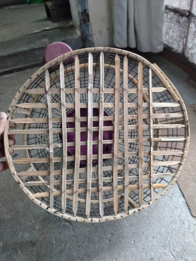 bird cage 3