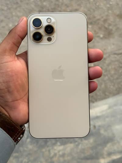 iPhone 12 pro max