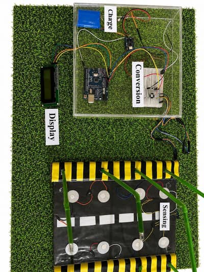 College & University Science Project