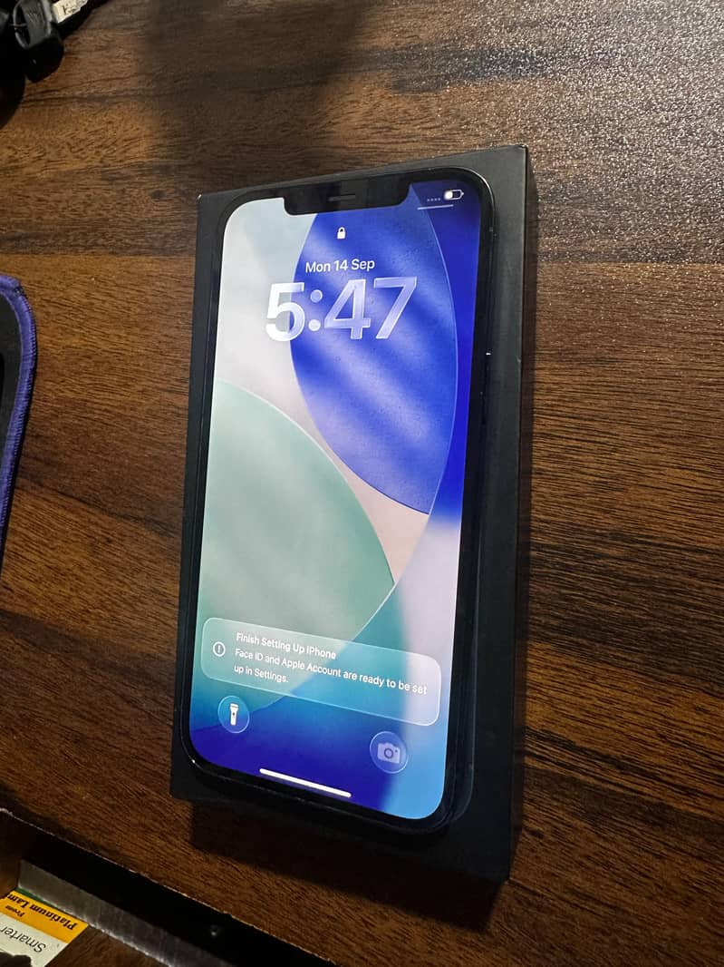 Apple iPhone 12 Pro Max 2
