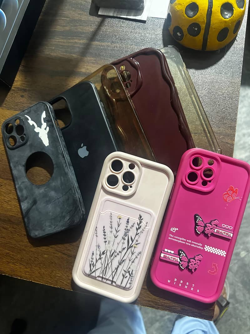 Apple iPhone 12 Pro Max 10