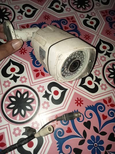 bilqol sai hi