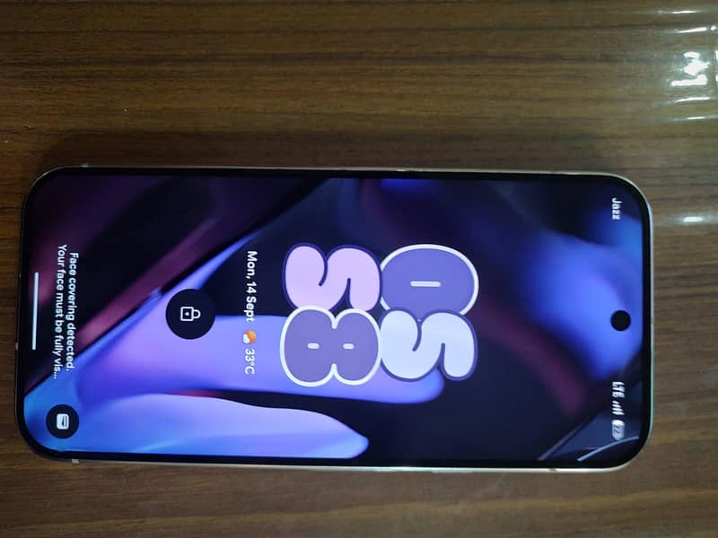 Google Pixel 9 Pro 1