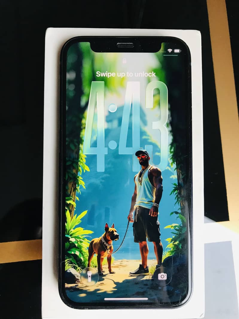 Apple iPhone 12 mini 1
