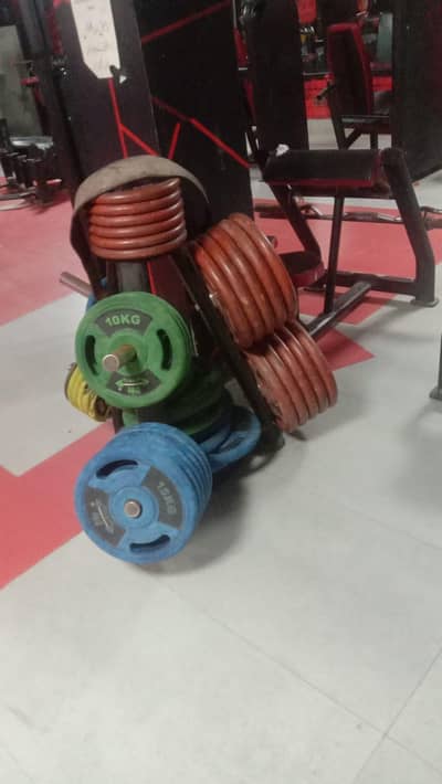 gym 1