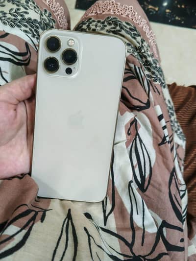 Apple iPhone 12 Pro Max