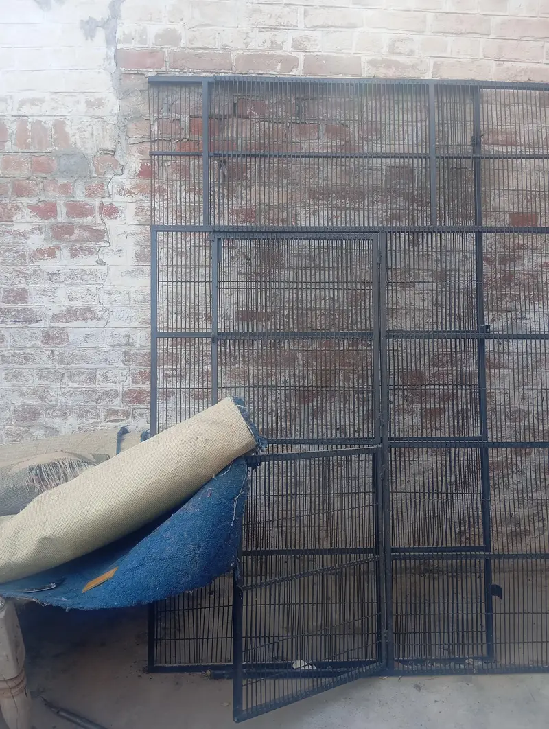 big size parrots cage — photo 3