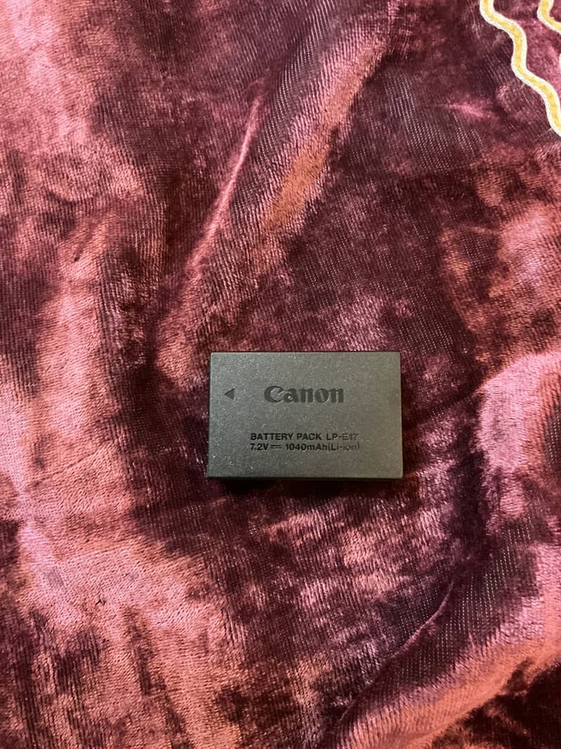Canon EOS RP 12