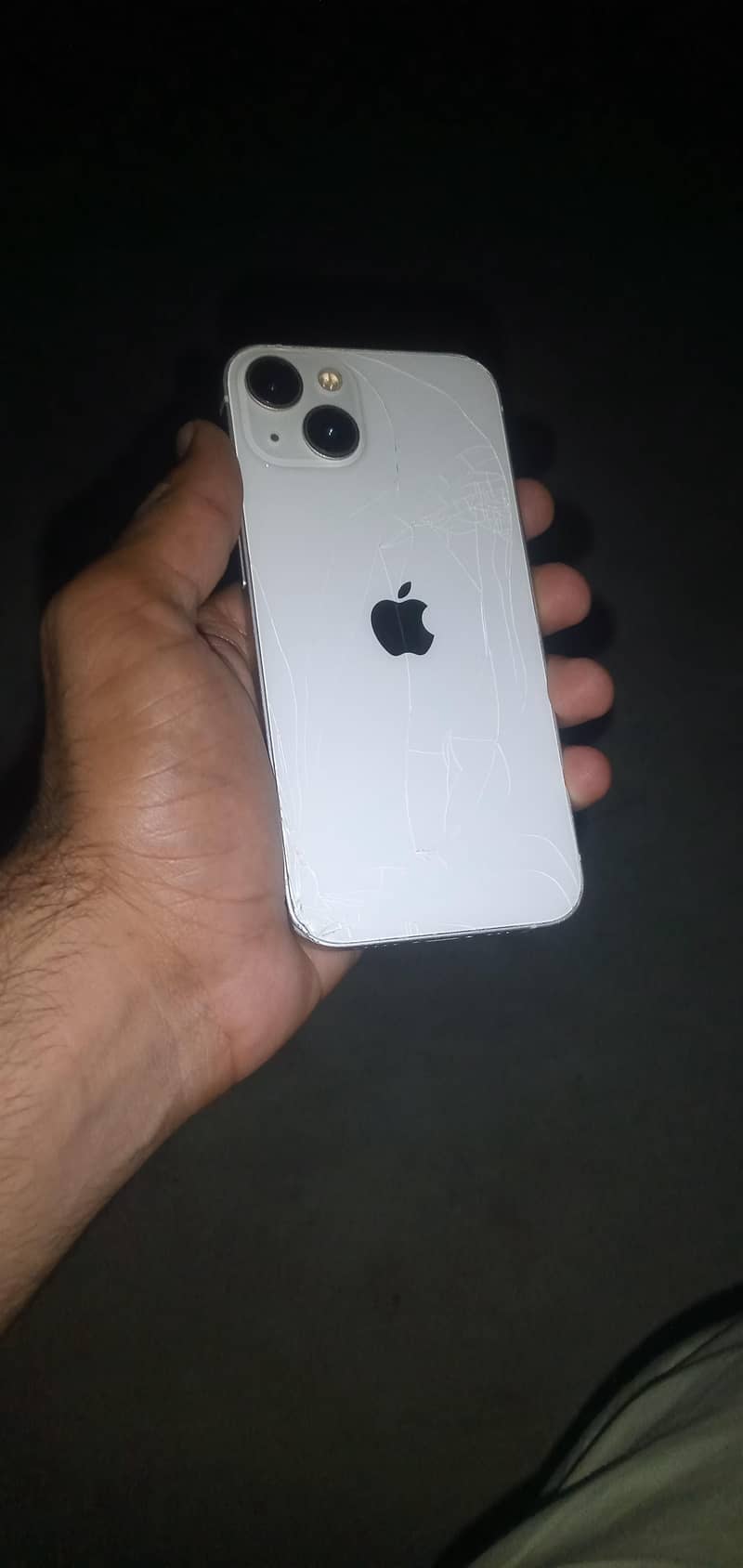 Apple iPhone 13 0