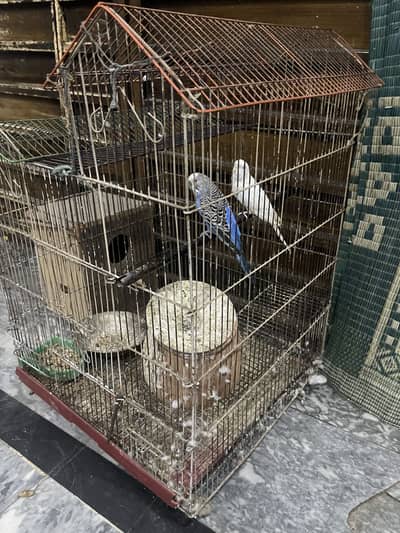 Breeder king size pair