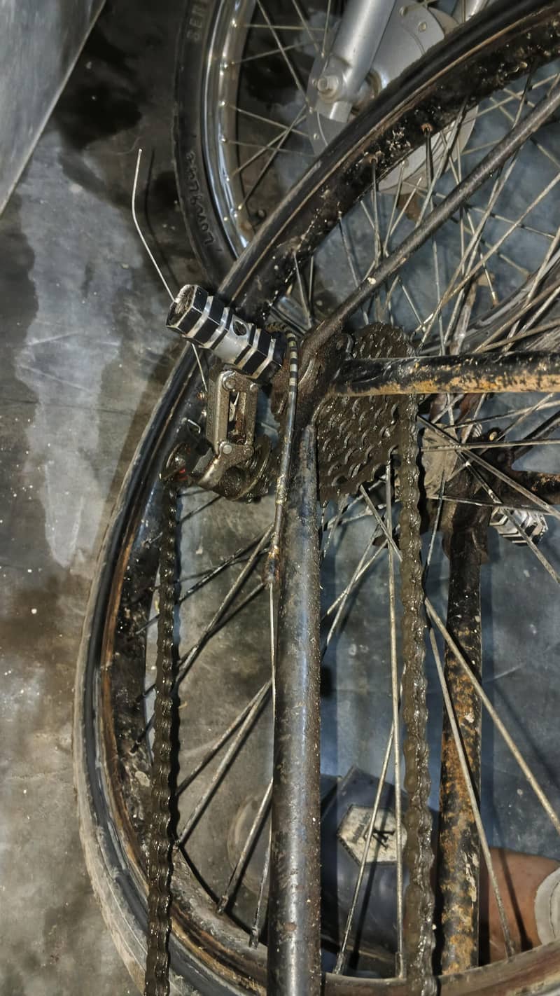 phonex cycles 2