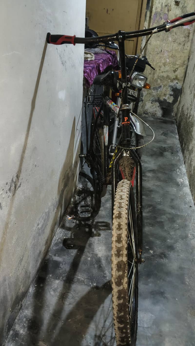 phonex cycles 5